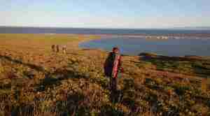Qikiqtaruk was looking a lot more yellow and brown than green by the end of our trip.