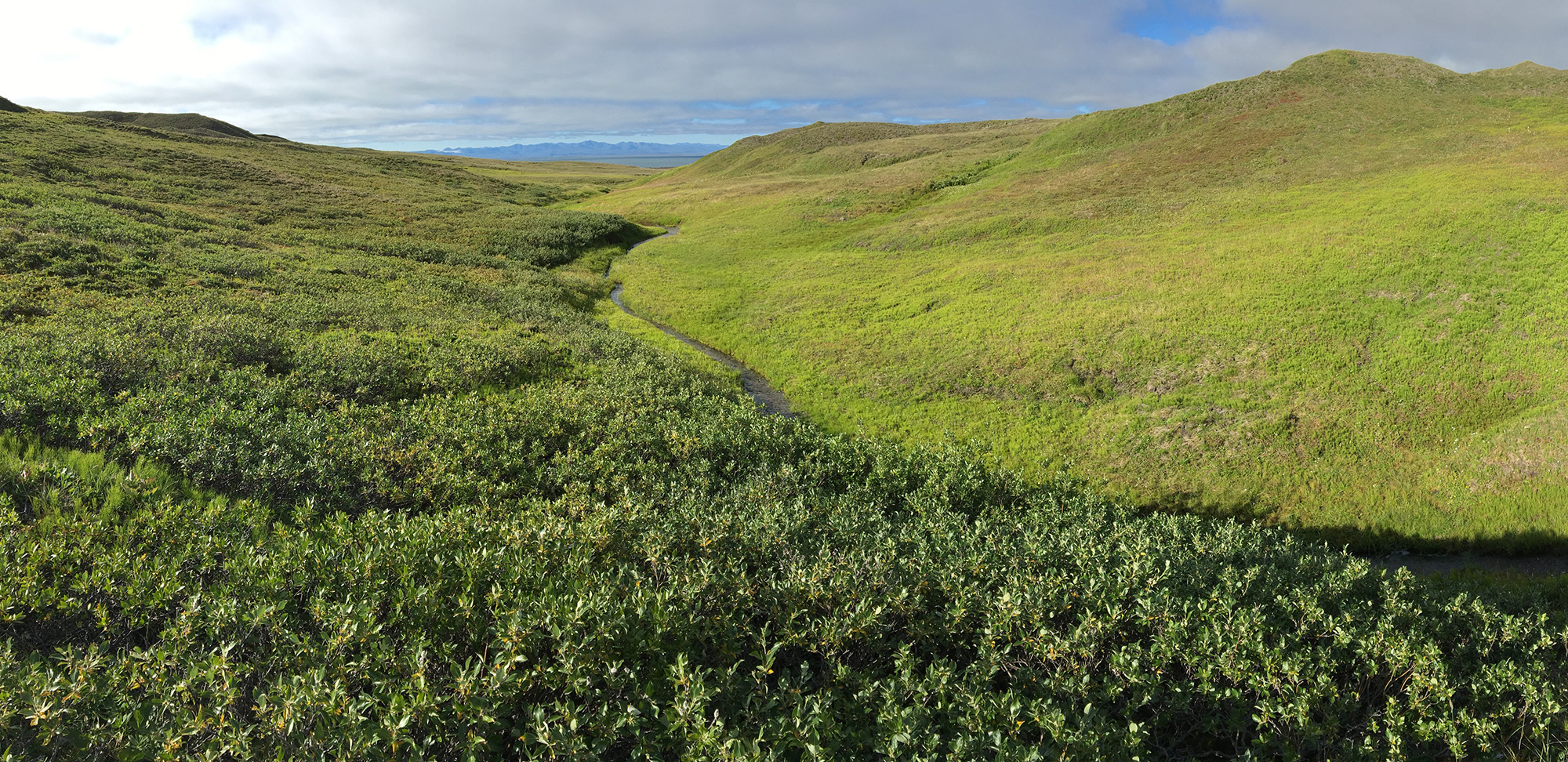 East_Ice_Creek_Herschel_YT_5Aug2016_CameronEckert