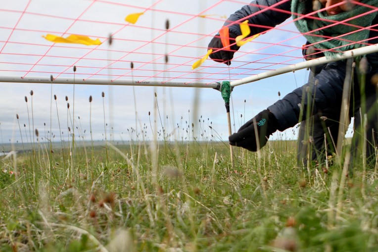 MG-GND-point-framing